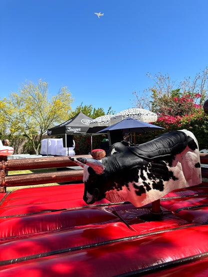 Mechanical Bull Rental