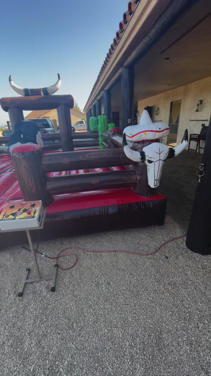 Mechanical Bull Rental